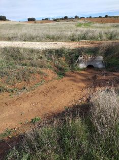 A SU PASO POR LA COMUNIDAD DE MADRID  