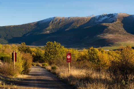 Un programa del Ministerio de Agricultura, Pesca y Alimentación