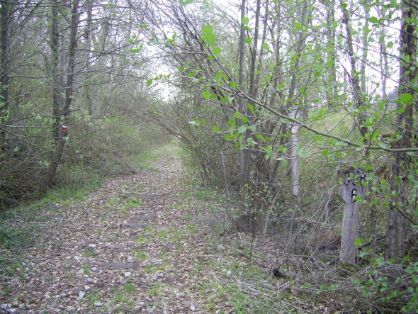 EN EL MARCO DEL PROGRAMA DE CAMINOS NATURALES DESARROLLADO POR EL MINISTERIO DE AGRICULTURA, PESCA Y ALIMENTACIÓN 