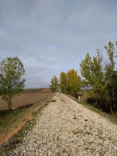 DISCURRE POR LA PLATAFORMA DE LA ANTIGUA LÍNEA DEL FERROCARRIL SANTANDER-MEDITERRÁNEO
