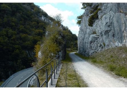 PROGRAMA DE CAMINOS NATURALES  