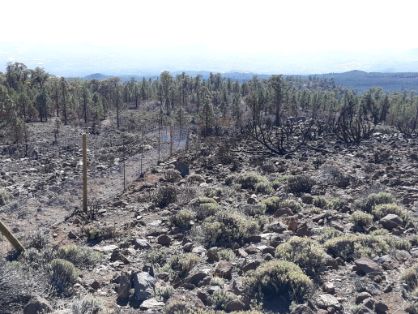 SE PRODUJO EN ABRIL DE 2018  