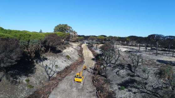 El incendio ocurrió entre el 24 de junio y el 5 de julio de 2017 