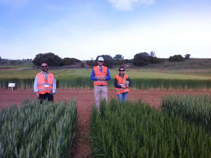 Hoy, en el Consejo de Ministros