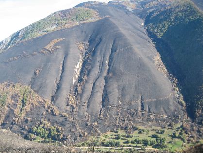  EN EL MARCO DE LAS ACTUACIONES DE COLABORACIÓN CON LAS CCAA 