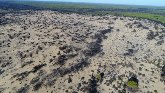 El incendio ocurrió entre el 24 de junio y el 5 de julio de 2017 