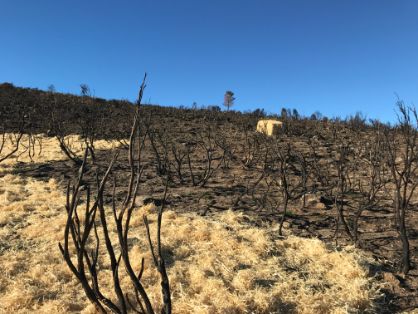 EL MINISTERIO DE AGRICULTURA, PESCA Y ALIMENTACIÓN HA EJECUTADO LOS TRABAJOS  