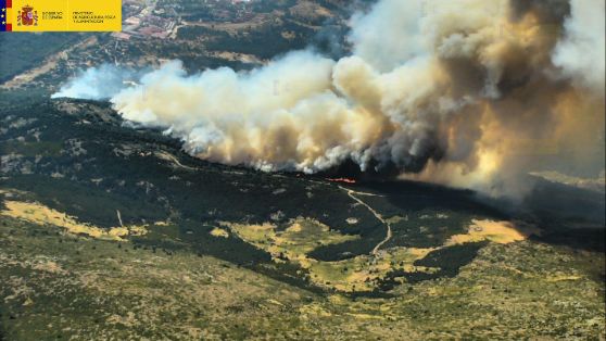 Tras el incendio del pasado 4 de agosto