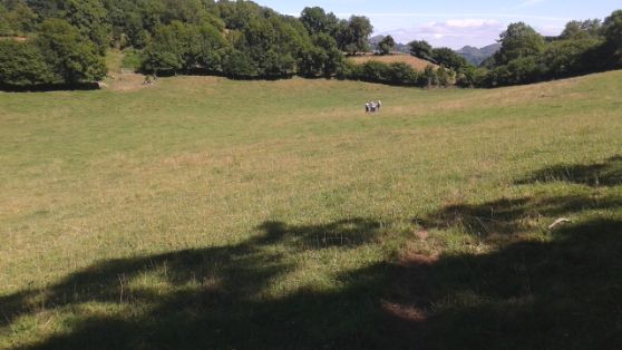 DISPONIBLE DESDE HOY