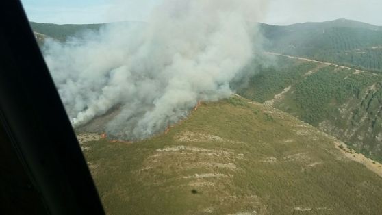 DECLARADO ESTA TARDE