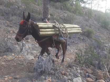 SE PRODUJO EN ABRIL DE 2018  