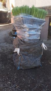 SE PRODUJO EN ABRIL DE 2018  