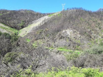 SE PRODUJO EN OCTUBRE DEL PASADO AÑO 