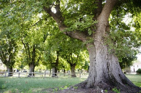 EL GANADOR SERÁ EL ASPIRANTE ESPAÑOL AL CERTAMEN EUROPEO 