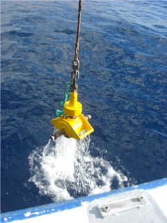 Desde el 28 de junio al 9 de agosto