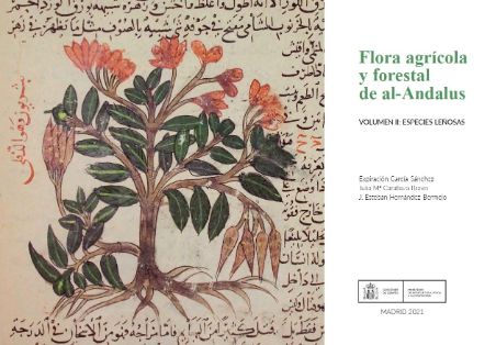 DISPONIBLES EN SU PÁGINA WEB   