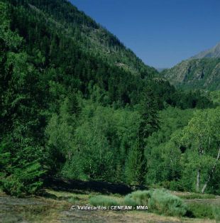 Hoy, en el Centro Superior de Investigaciones Científicas (CSIC)