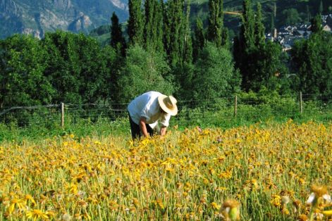 A partir de mañana, 1 de febrero