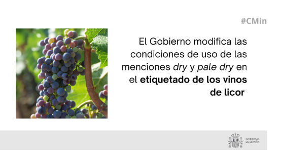 Hoy, en Consejo de Ministros  