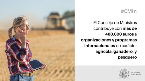 Hoy, en el Consejo de Ministros