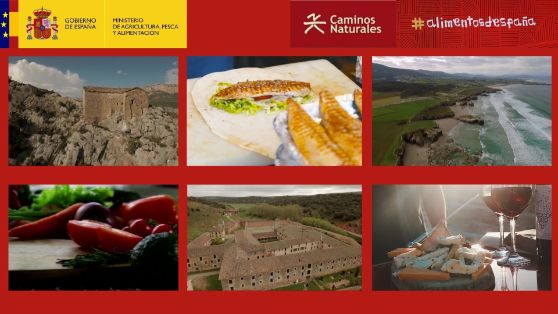 Del 19 al 23 de enero de 2022, en IFEMA Madrid 