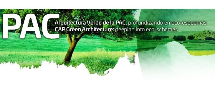 POLÍTICA AGRARIA COMÚN