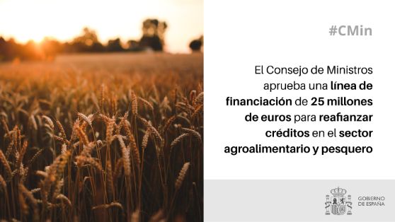 Hoy, en Consejo de Ministros 