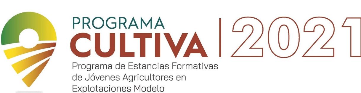 EL PLAZO, QUE EXPIRABA HOY, SE PROLONGA EN 7 DÍAS    