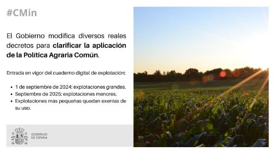 Hoy, en Consejo de Ministros  