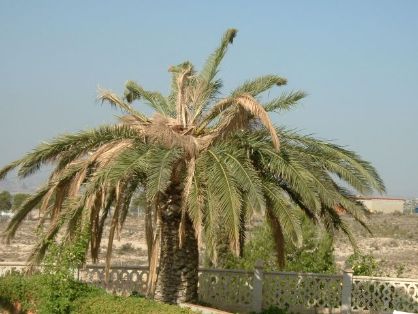 Hoy en el Consejo de Ministros 