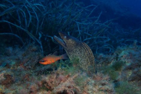 El aniversario es el sábado 7 de septiembre