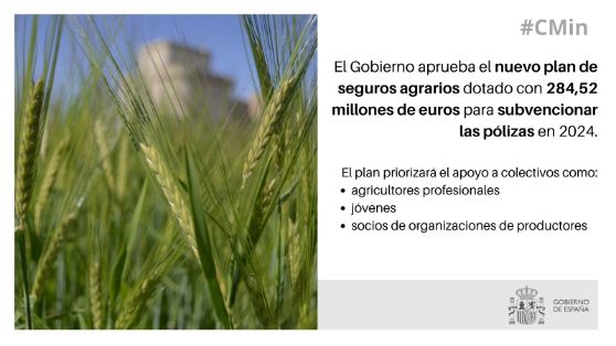 Hoy, en Consejo de Ministros