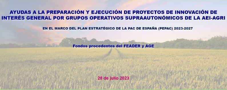 El próximo 28 de julio, a las 10.00 h 