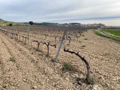 Con un plazo de ejecución de 24 meses