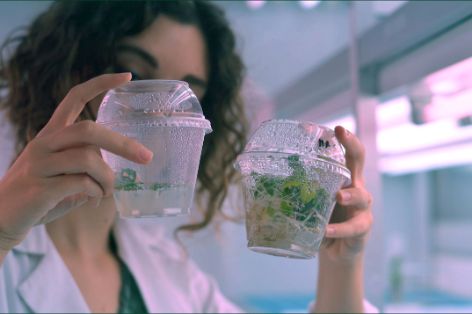Proyecto pionero de asesoramiento con el Centro de Investigación en Agrigenómica 