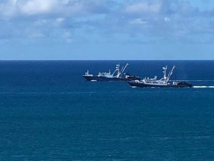 Nota de prensa conjunta de los ministerios de Agricultura, Pesca y Alimentación y de Exteriores, Unión Europea y Cooperación