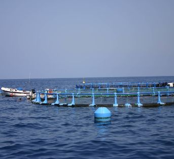 Hoy, 30 de noviembre 