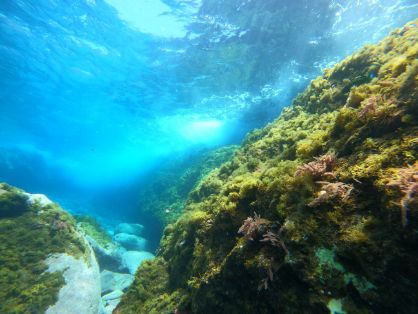 Mañana sábado, 3 de agosto 