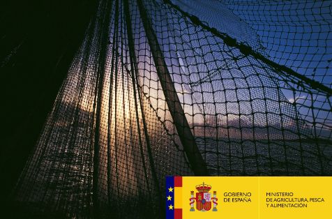 Mediante una resolución publicada hoy en el BOE 