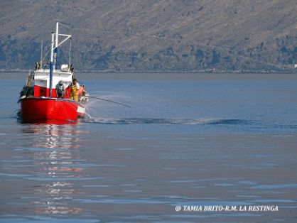 INTEGRADA EN LA RED DE RESERVAS MARINAS DE INTERÉS PESQUERO  