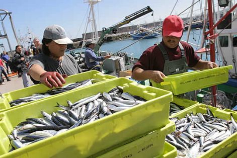 SEGÚN LAS RESOLUCIONES DE APERTURA Y GESTIÓN ADOPTADAS POR LA SECRETARÍA GENERAL DE PESCA 