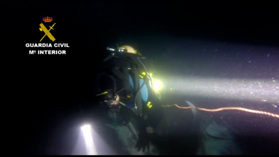 En un operativo conjunto entre el Ministerio de Agricultura, Pesca y Alimentación, la Guardia Civil y la subdelegación del Gobierno en Cádiz