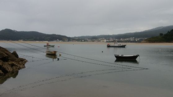 EN LA REUNIÓN CELEBRADA HOY POR VIDEOCONFERENCIA CON LAS CCAA Y EL SECTOR PESQUERO DE ARRASTRE DEL MEDITERRÁNEO 