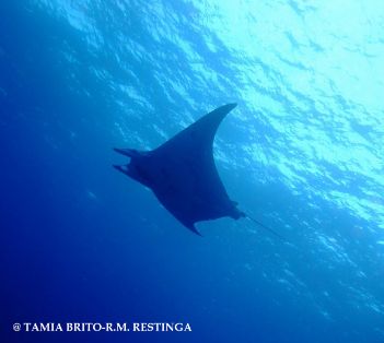 INTEGRADA EN LA RED DE RESERVAS MARINAS DE INTERÉS PESQUERO  