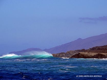 INTEGRADA EN LA RED DE RESERVAS MARINAS DE INTERÉS PESQUERO  