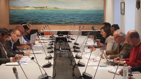 EN REUNIONES PRESIDIDAS POR LA DIRECTORA GENERAL DE RECURSOS PESQUEROS Y EL DIRECTOR GENERAL DE ORDENACIÓN PESQUERA Y ACUICULTURA 