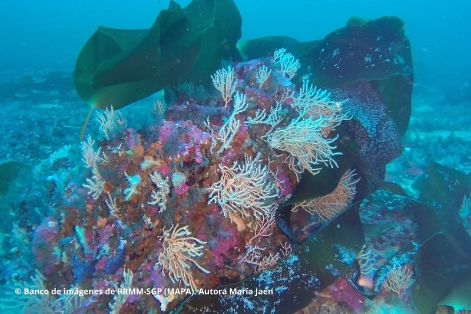 Espacio protegido gestionado por el Ministerio de Agricultura, Pesca y Alimentación 