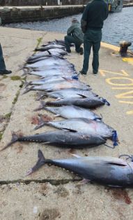 En el marco de la lucha contra la pesca ilegal 