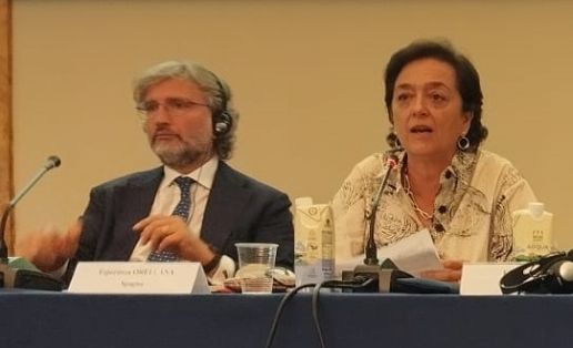 Hoy, en el plenario que ha tenido lugar en Roma