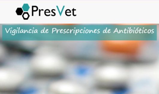 El informe de auditoría se remitió el 9 de junio